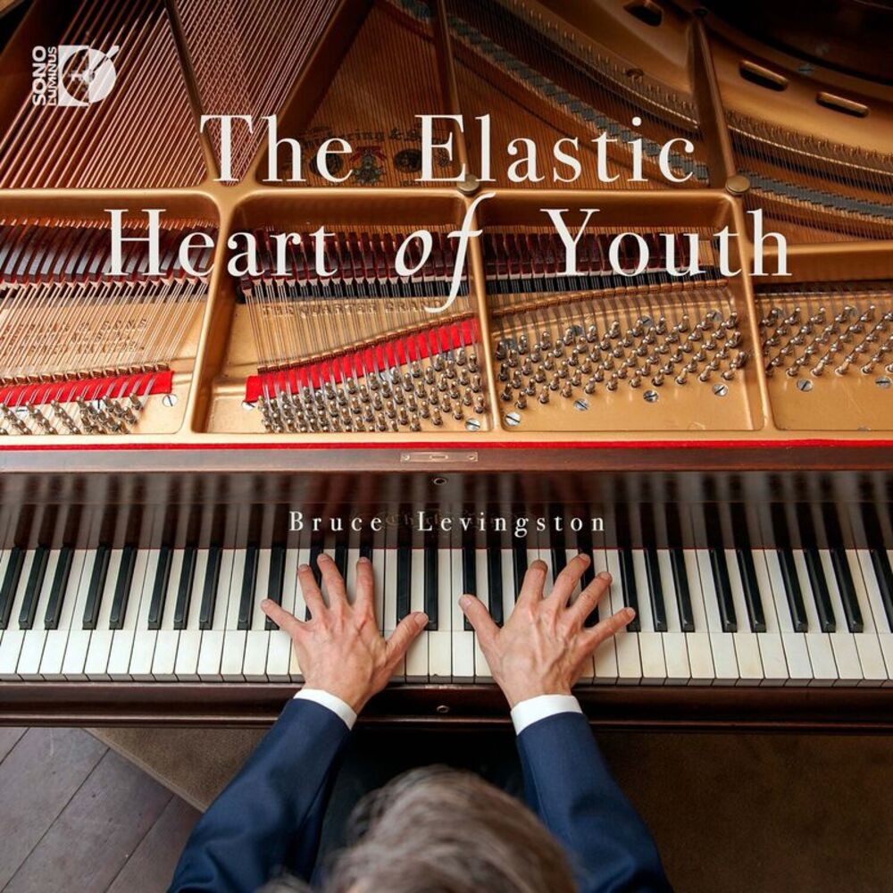 Bruce Levingston - The Elastic Heart of Youth  CD